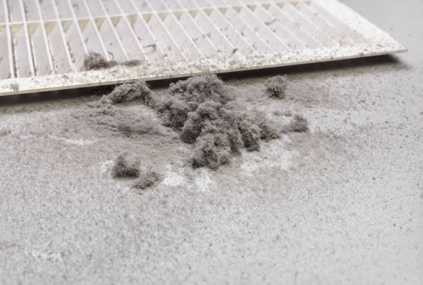 Air Duct Mold Removal in PA